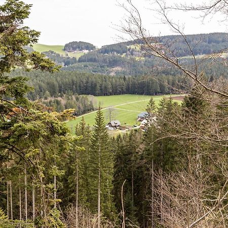 Ferienappartement Sonnenhof トリベルク エクステリア 写真