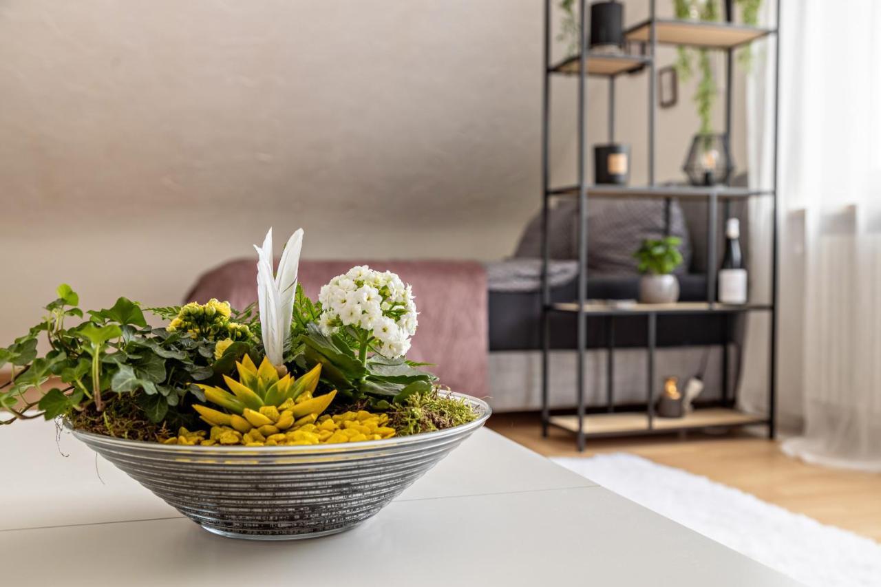 Ferienappartement Sonnenhof トリベルク エクステリア 写真