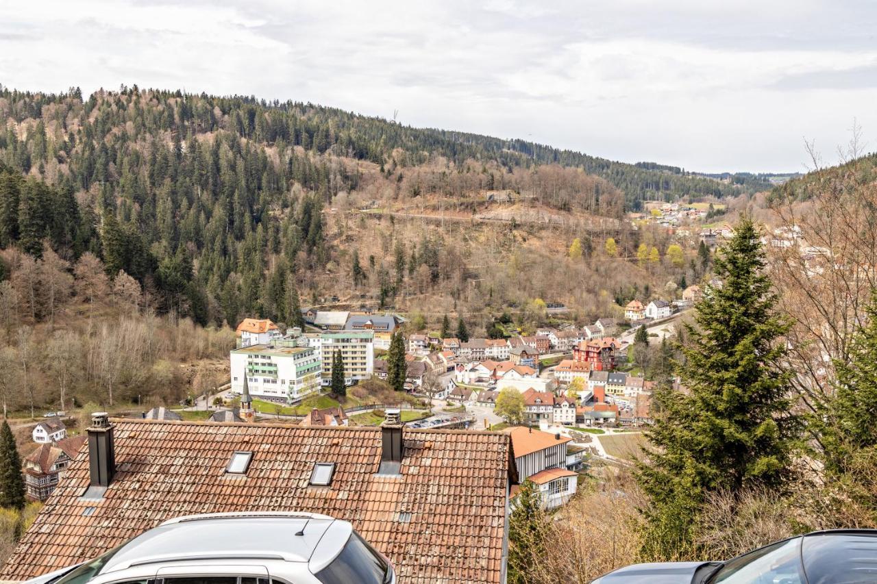 Ferienappartement Sonnenhof トリベルク エクステリア 写真