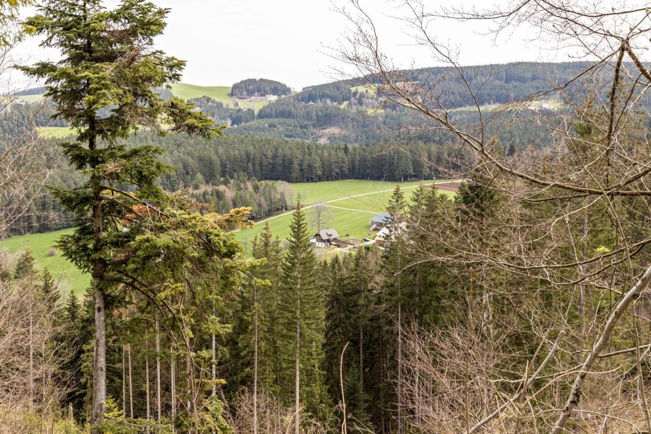 Ferienappartement Sonnenhof トリベルク エクステリア 写真